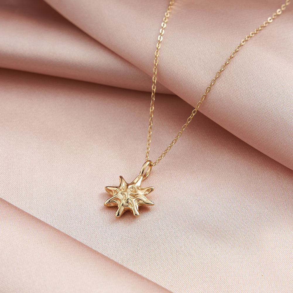 S925 Sterling Silver Star Pendant Necklace – 14K Gold Plated Chain